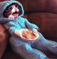 cat crying in blue suit 
