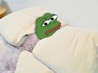 pepe in bed under covers scared 