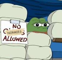 pepe no normies allowed 